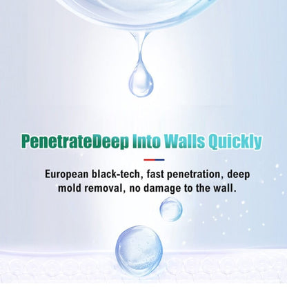 Mildew Remover Foam